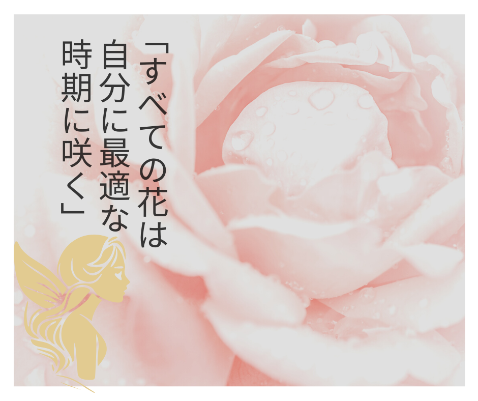 ライフスタイル∞大人の新しいチャレンジ