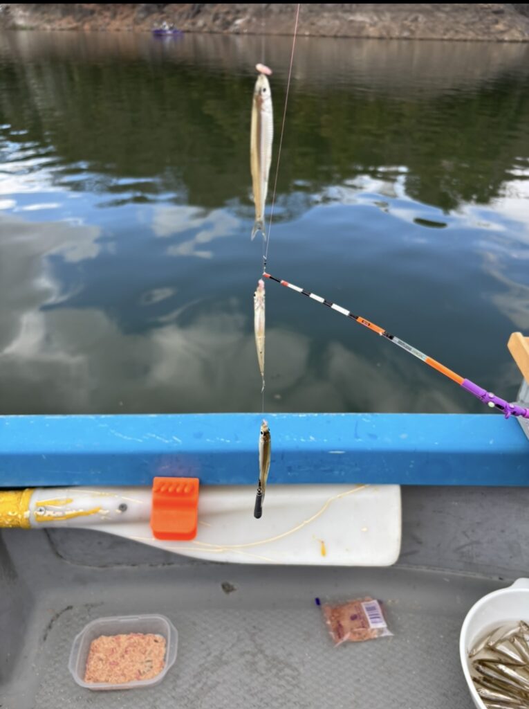 正月恒例のワカサギ釣りに感謝