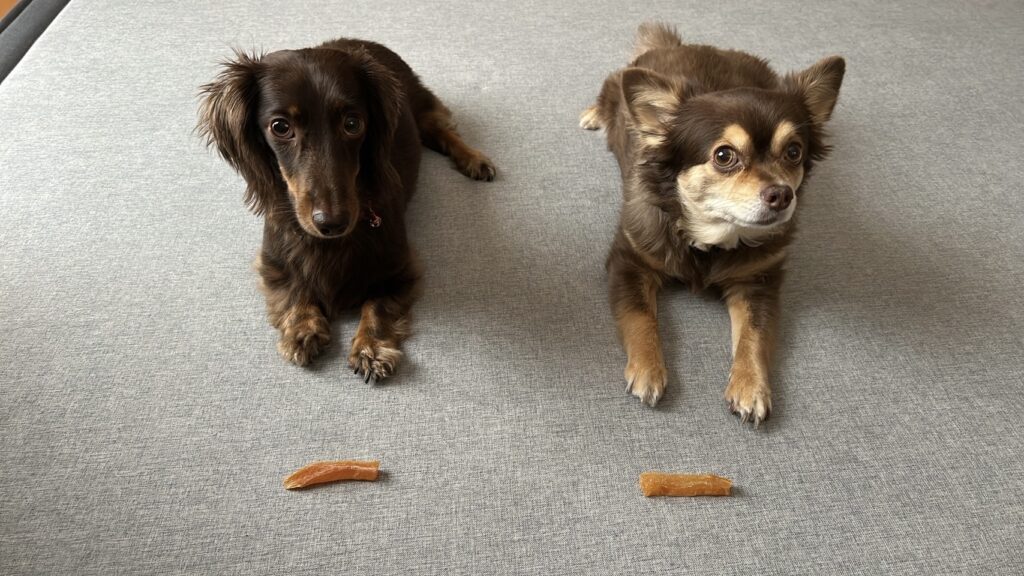 2025年の振り返り　第五弾最終回