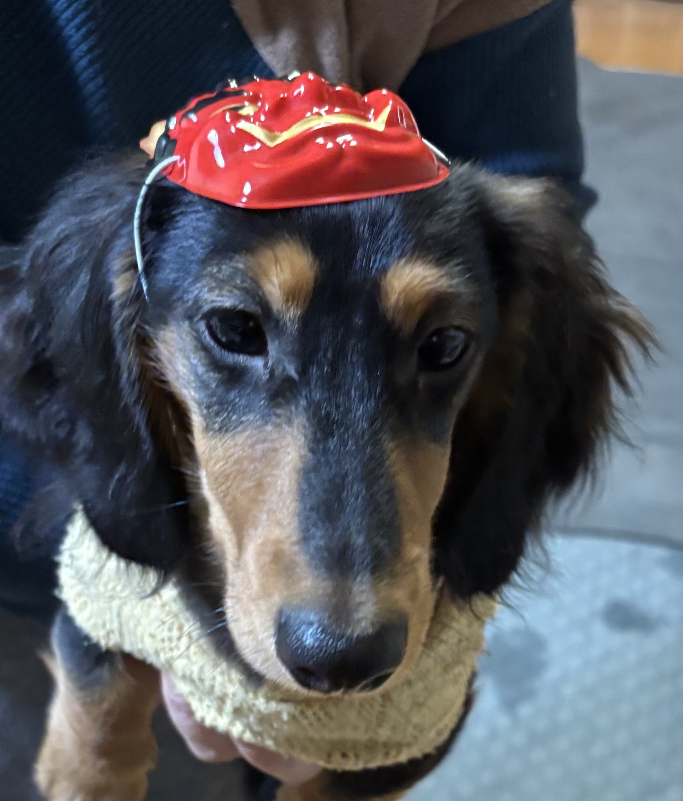 加速するAI時代。だからこそ「変わらないもの」を大切にしたい