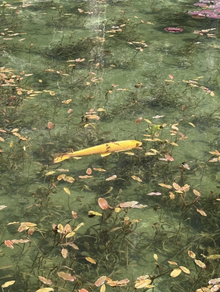 神様からのサイン？直感に従う神社巡りでエネルギーチャージ