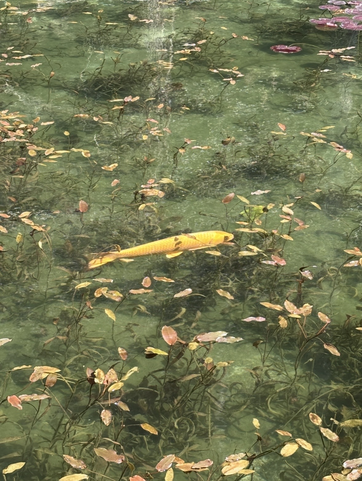 神様からのサイン？直感に従う神社巡りでエネルギーチャージ