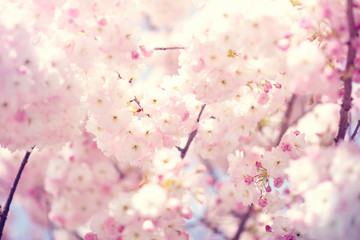 TOSHIMI物語 Part20 ――在り方を見つめ直した先に見えてきたもの――