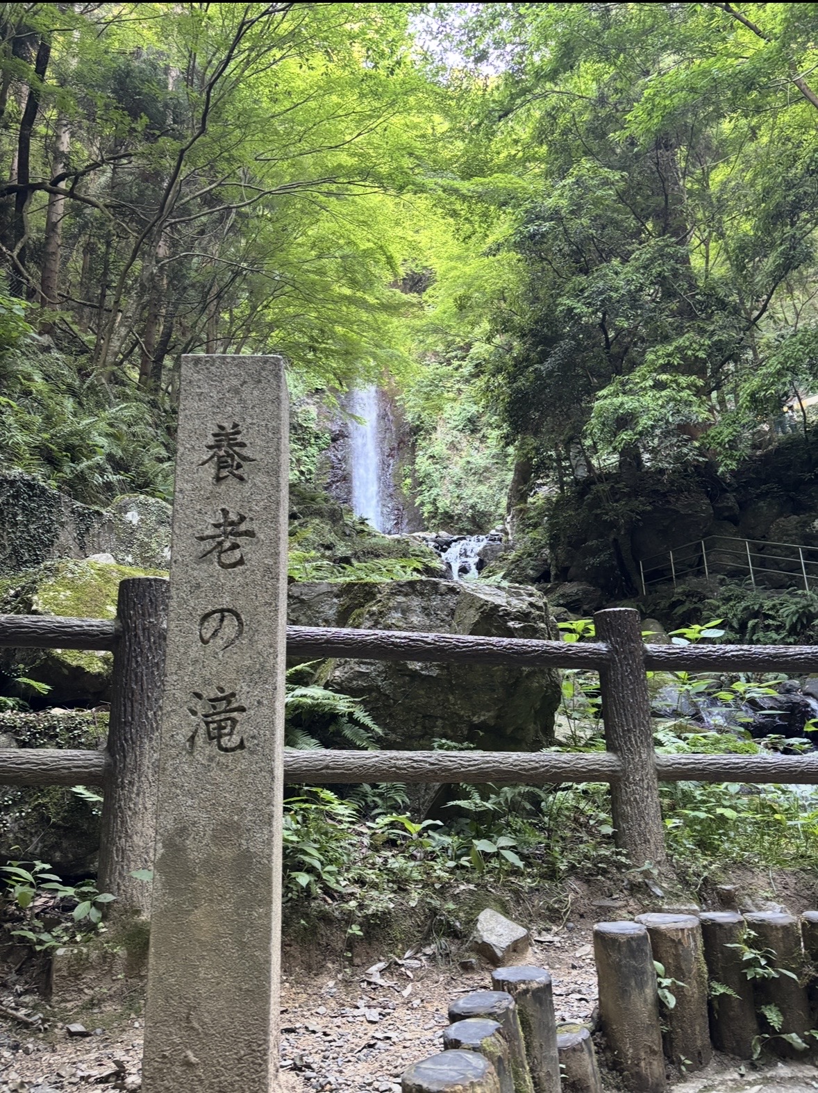 少ししんどい道のりの先にある、心スッキリの特効薬
